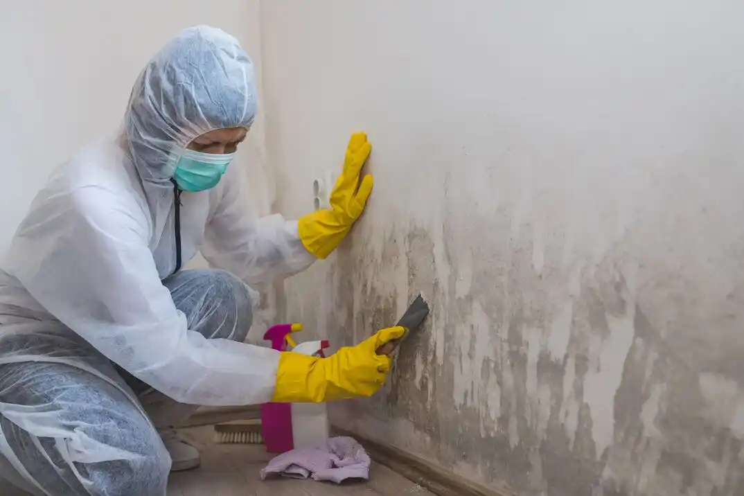 water damage restoration service Lakeview Estates